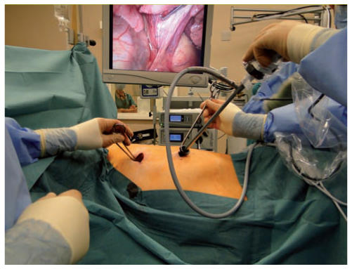 Thumbnail image representing Medical Education Facebook page