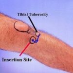 adult penetration site e3cd61796.jpg1746986654