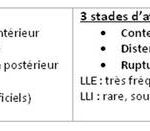 tableau 1 2 b1bec38ac.jpg1746985939