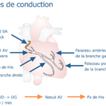 capture d e cran 2021 05 24 a 6.26.39 pm f09dc4540.png1746976869