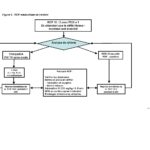 defibrillateur semi automatique algorithme rcp defibrillateur