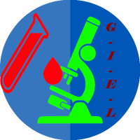 Examens-Laboratoire.png