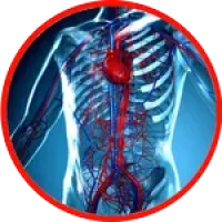 Logo-Apps-150-150 (28)