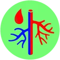 Logo-Apps-150-150 (35)