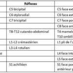 fichier 361