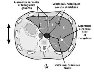 fichier 362