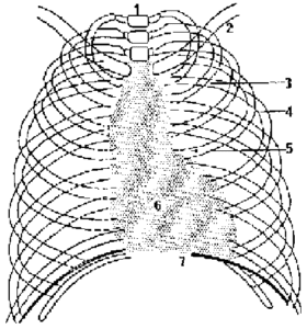 image 2 2